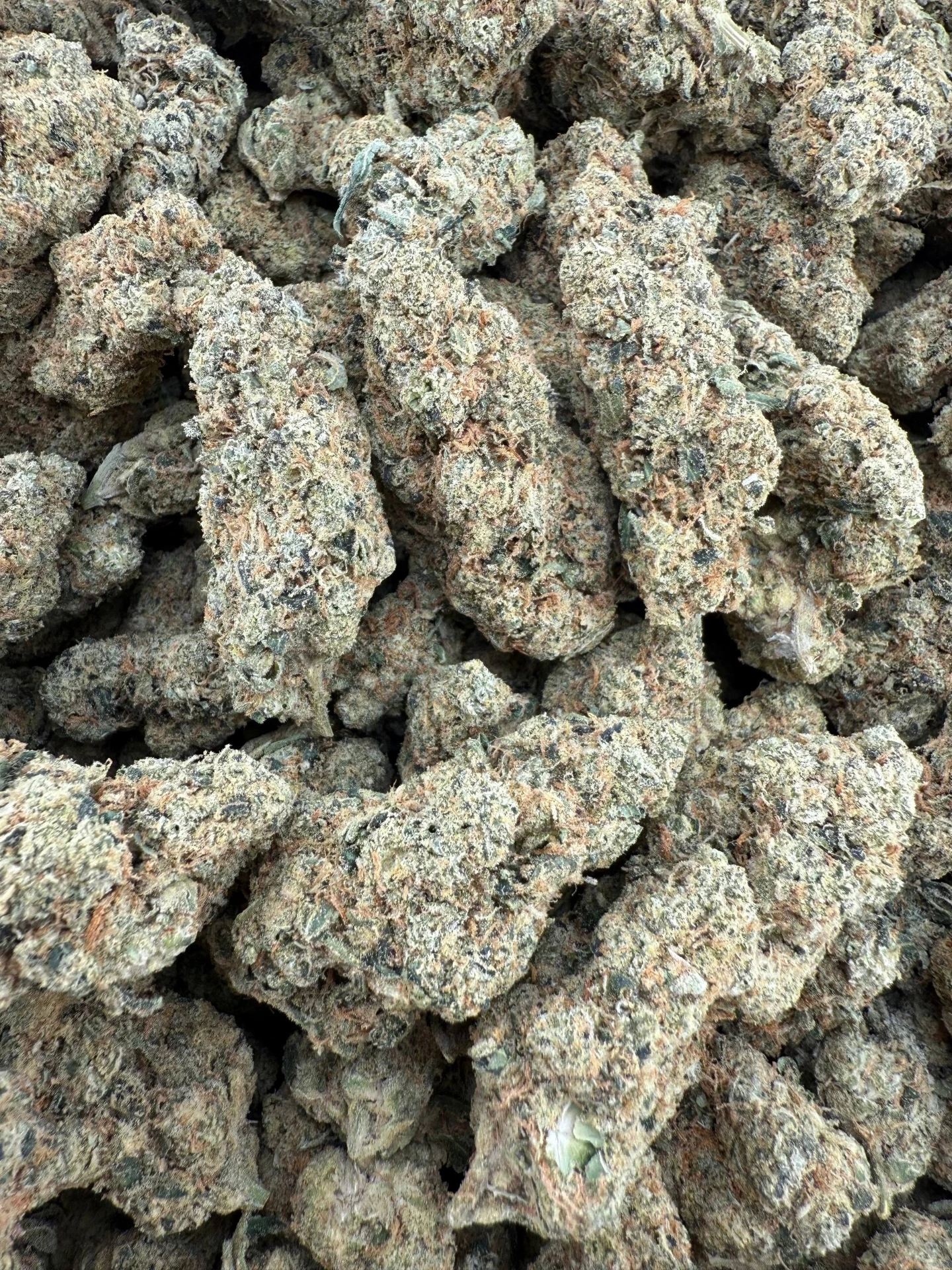 Jungle Juice - Flower - Big