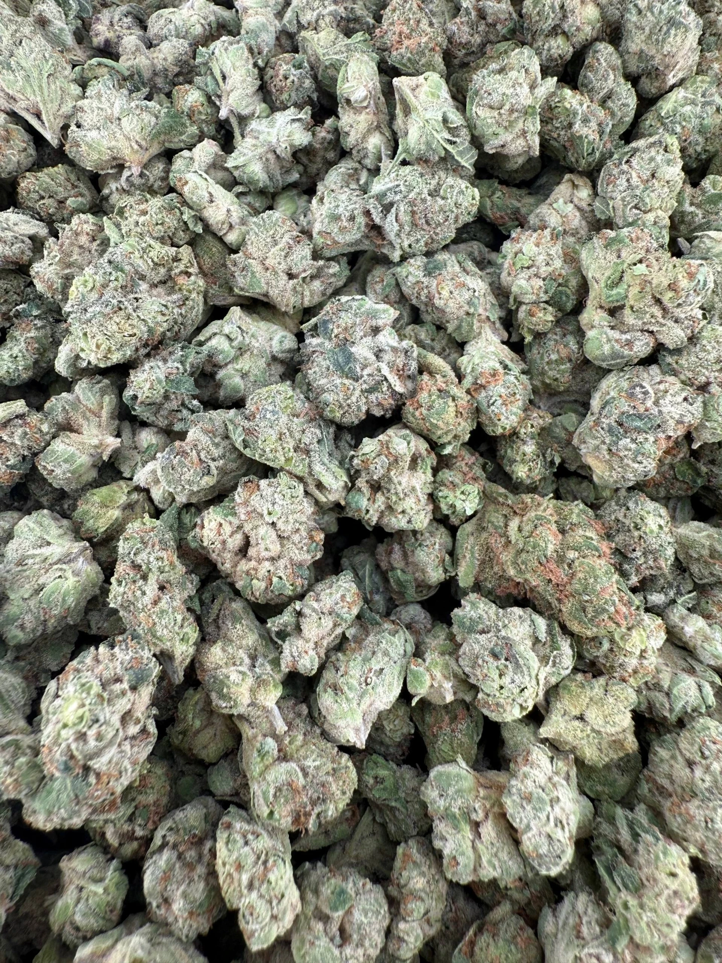 Donnie Burger - Flower - Med