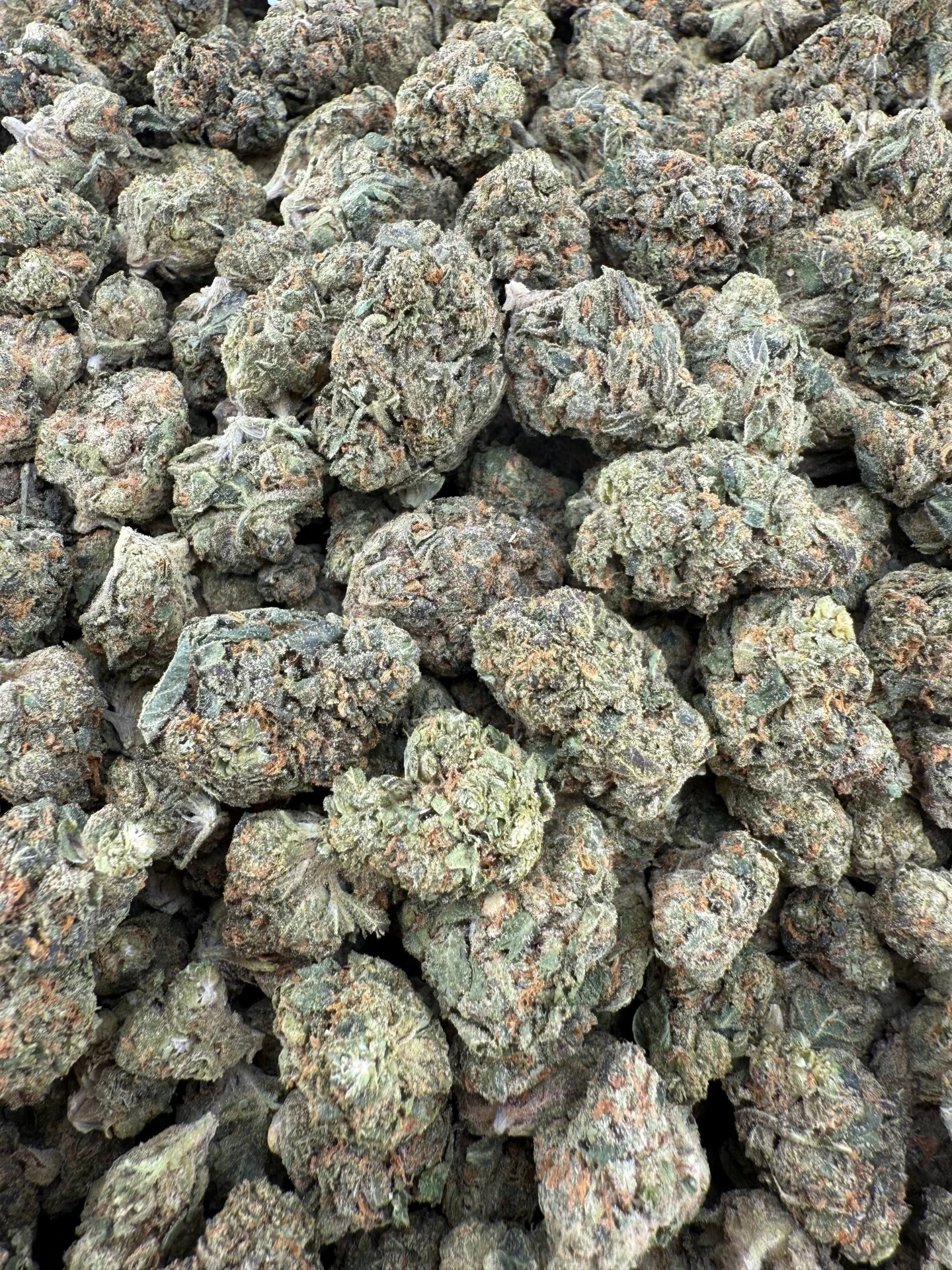 [HS066-002] Tom Ford - Flower - Med