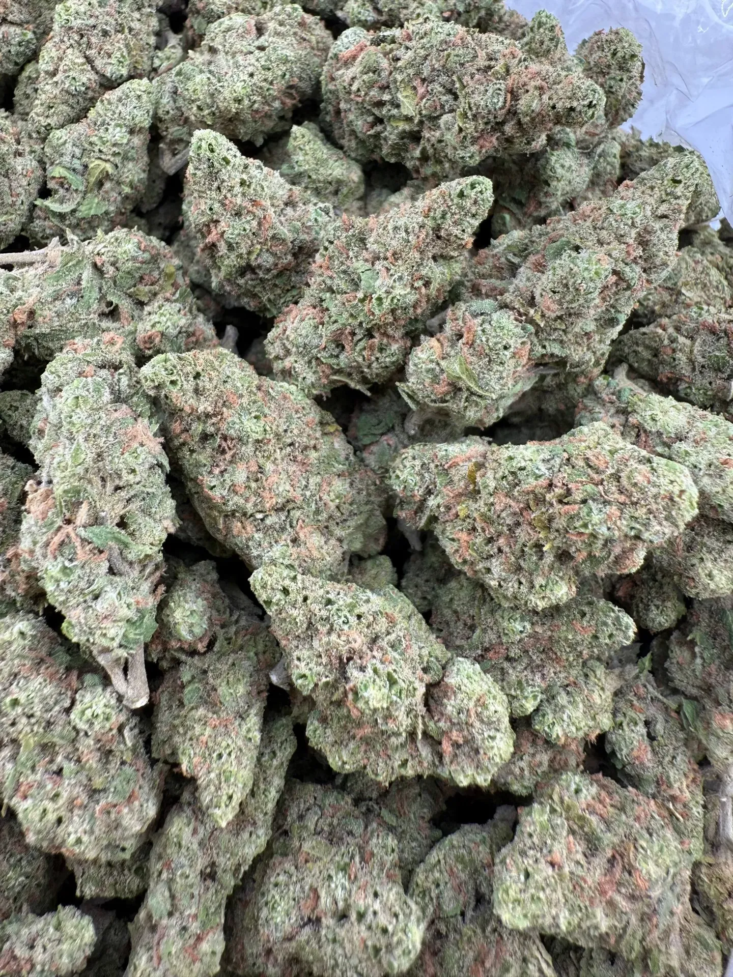 Blue Dream - Flower - Big