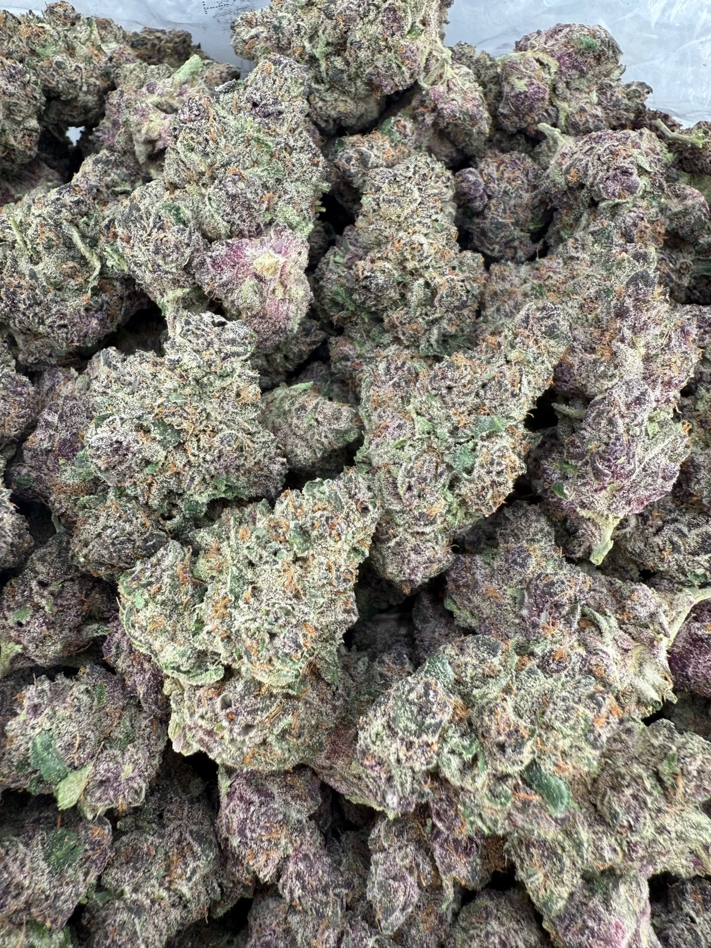 [HS159-001] Halle Berry - Flower - Big