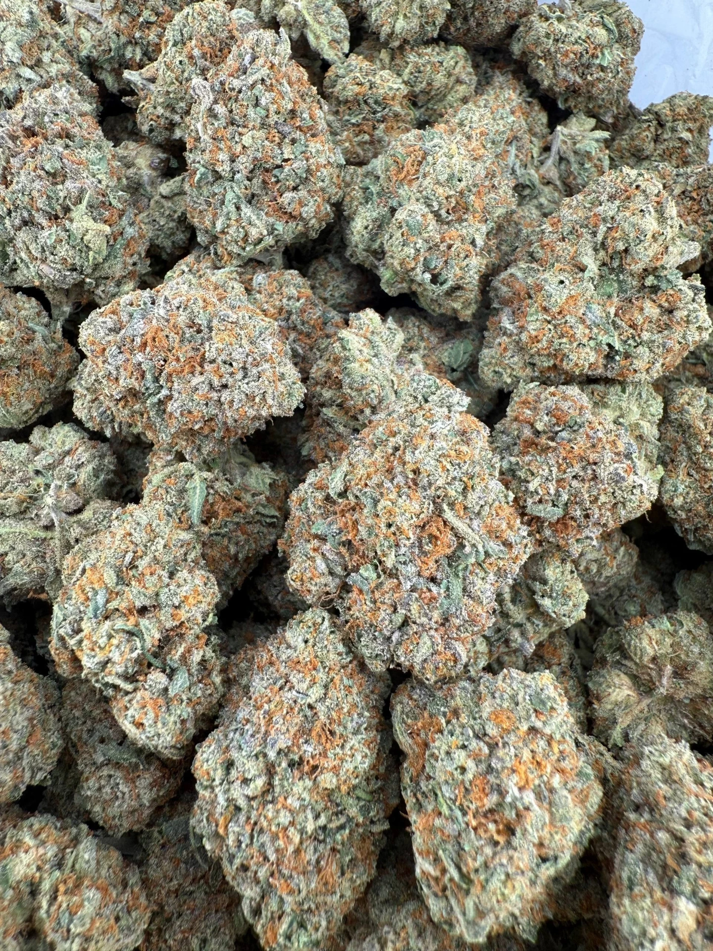 Pinyatti - Flower - Big