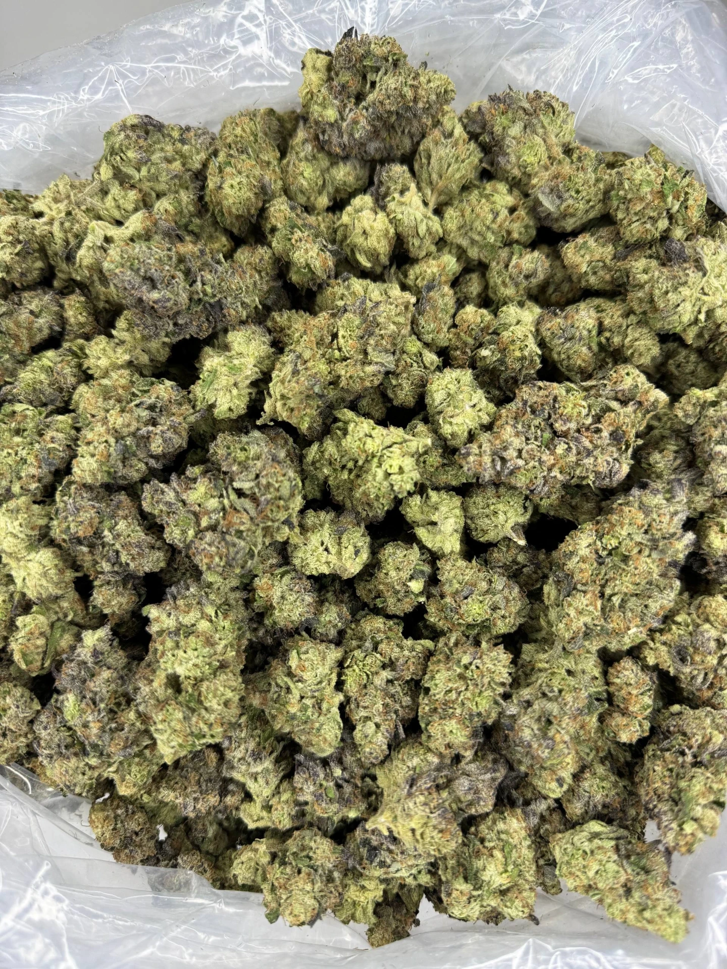 [HS162-001] Sharpie - Flower - Big